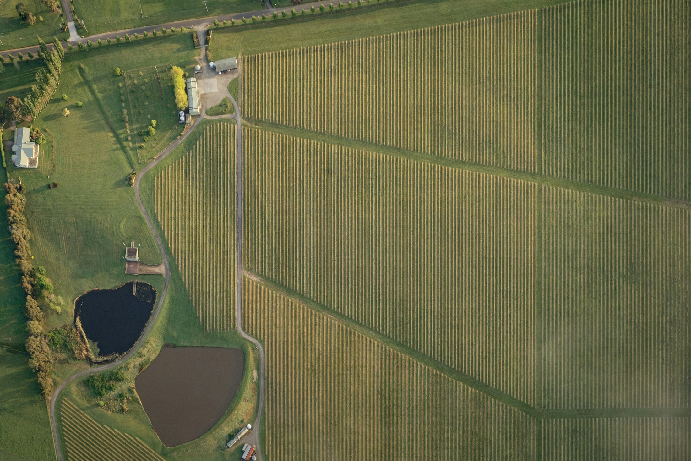 Aerial view of surveyed land, parcel by parcel